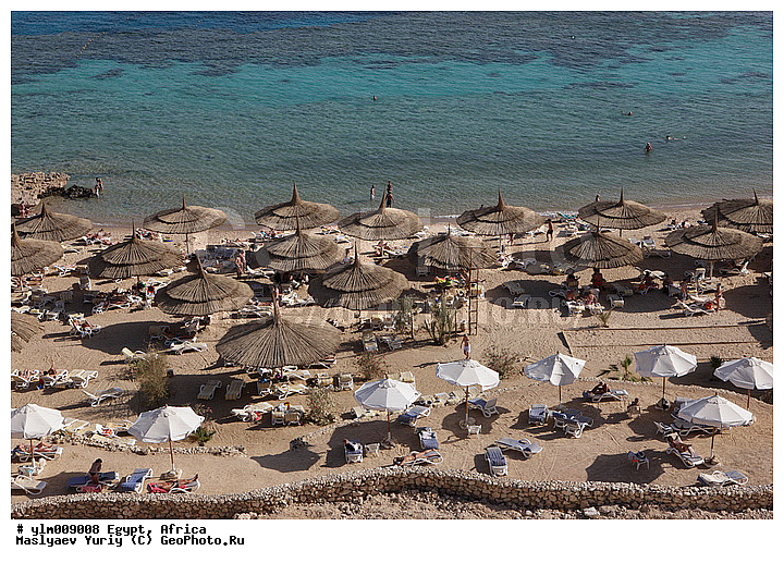 ������, ������, ����-���-����, ��� ������, ����, ����, �����, ����, ���������