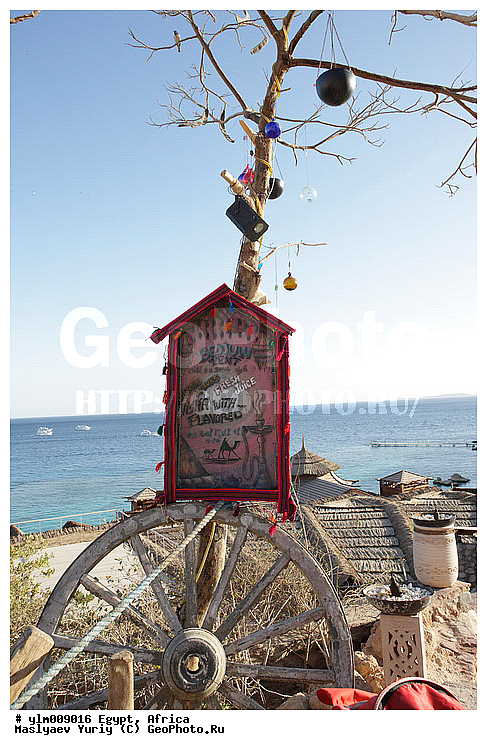 ������, ������, ����-���-����, �������, ������, ������, �������, ����, ���������, ��������, �����