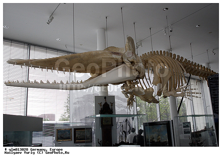 �����������, ��������, ������, ��������, ����, �������, �����, ������, �������, �������, ��������