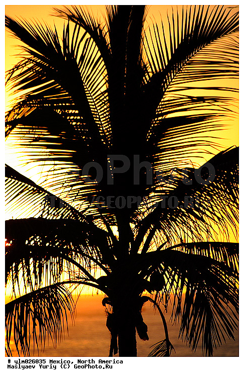 ���������, �������, �������� �������, �����, ������, �����, ������, ������