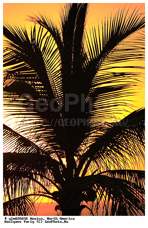 ���������, �������, �������� �������, �����, ������, �����, ������