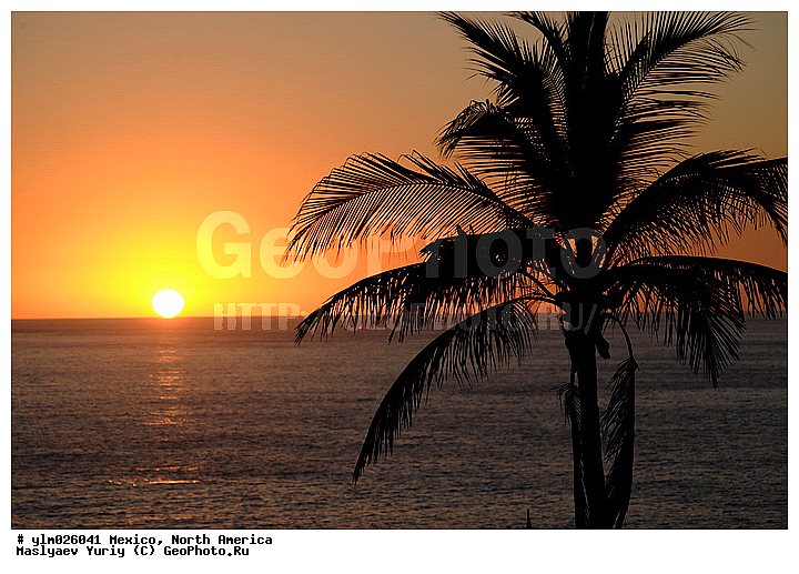 ���������, �������, �������� �������, �����, ������, �����, ����, ������, ������