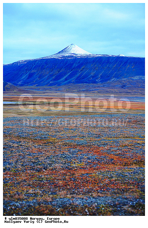 ��������, ��������� ����������, ����, ���, �������, ����, �������, �����