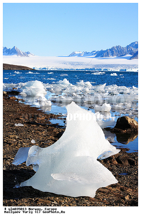 ��������, ��������� ����������, �����, ���, ������, ����, ����