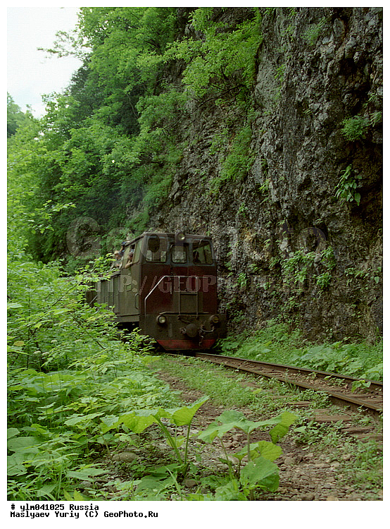 ������, ����������, ������, �����, � �����, ���������������, �����, �����, ��������, ������, ������, �����