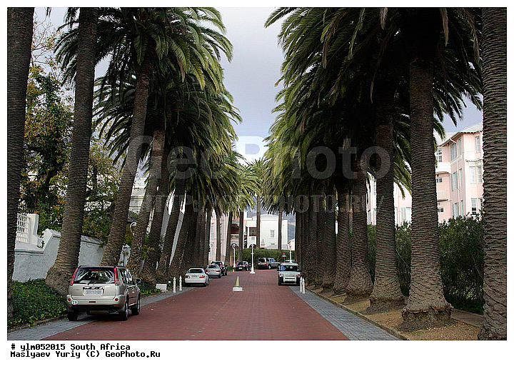 ��������, ����� ������, �����, ������, ������. ����������, ������, �����