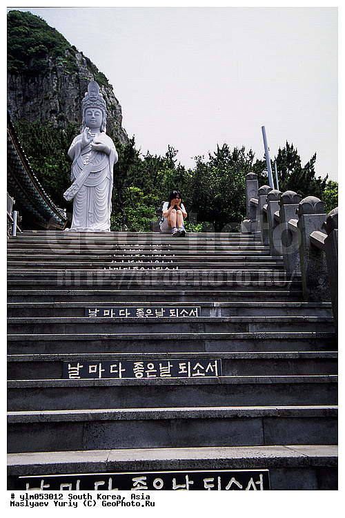 ����, �����, �����, �����, �������, ���������, ��������, �����, ������, �������