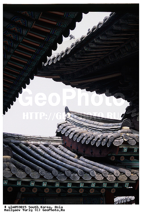 ����, �����, �����, �����, ����