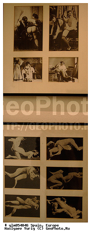 ���������, �������, ����� �������, �����, ���������, ����������, ���������������, ��������, �������, �����������