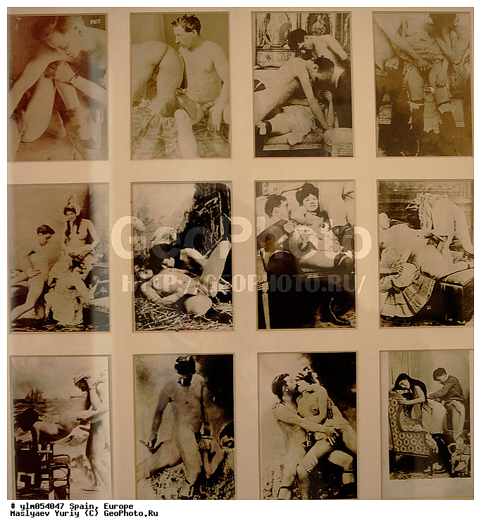 ���������, �������, ����� �������, �����, ���������, ����������, ���������������, ��������, �������, �����������