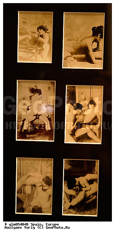 ���������, �������, ����� �������, �����, ���������, ����������, ���������������, ��������, �������, �����������