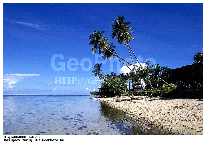 �������, �����, ����� �������, ����, ������, ������, �����, ����