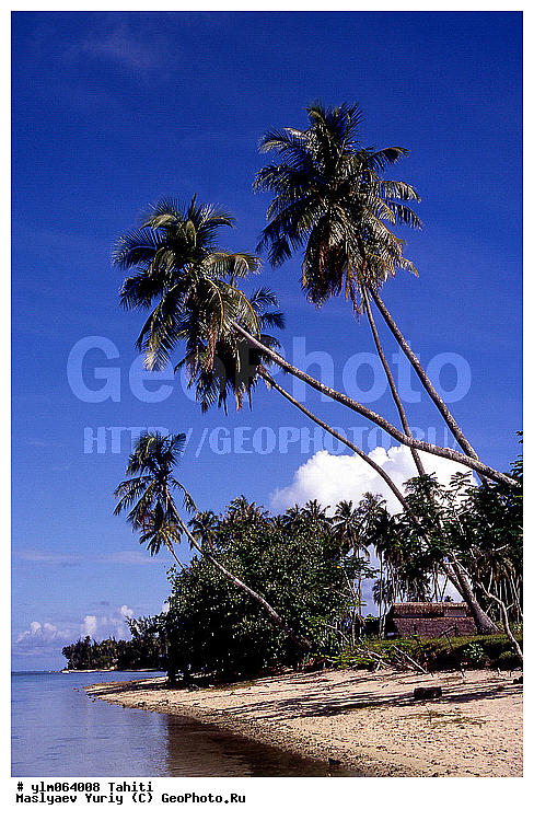 �������, �����, ����� �������, ����, ������, ������, �����, ����