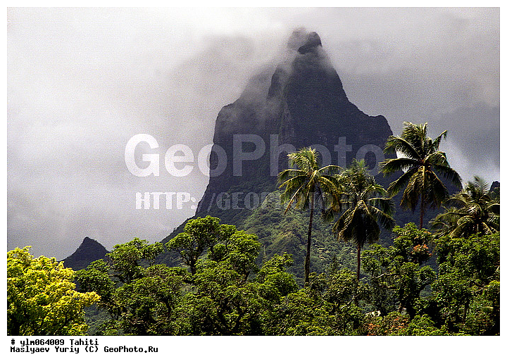 �������, �����, ����� �������, ����, ����, �������, ������, ������, ��������