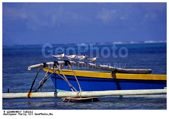 �������, �����, ����� �������, �����, � ���, �����, ����, �����, ���, ������