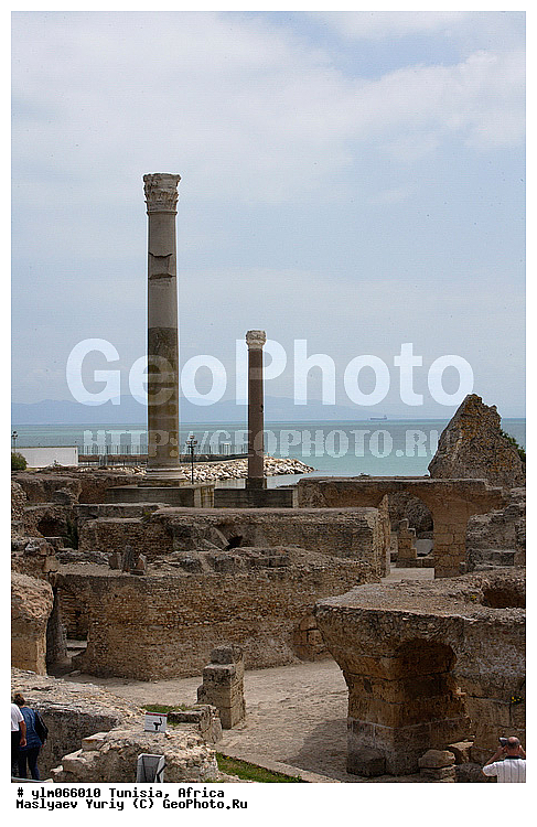 ������, ��������, �����, ���������������, �������, ����, ������, ���������, �����