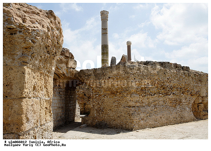 ������, ��������, �����, ����������, �������, ���������, �����