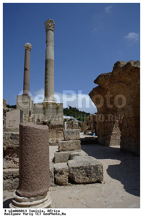 ������, ��������, �����, ����������, �������, ���������, �����