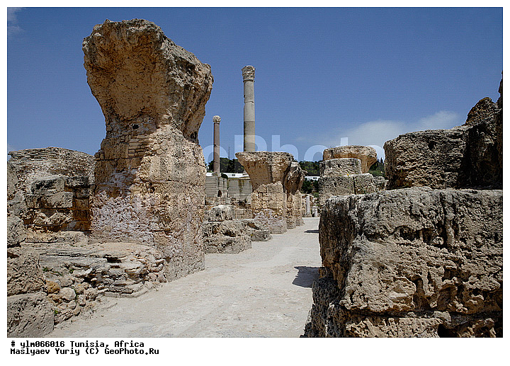 ������, ��������, �����, ���������������, �������, ����, ������, ���������, �����