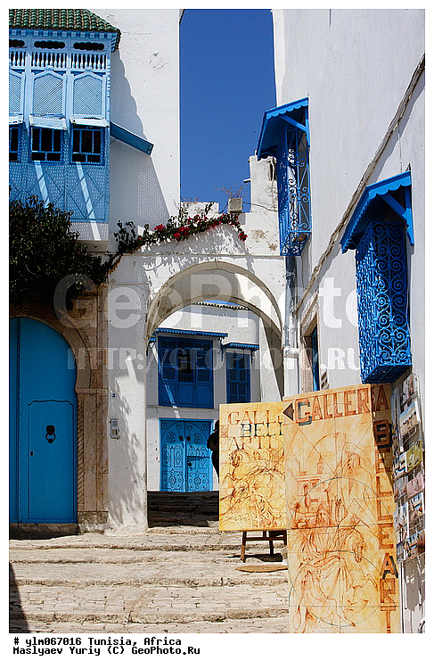 ������, ���� ��� ����, �����, �������, ���, ������, ����, �������