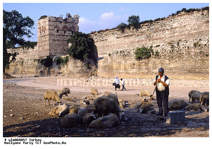 ������� ������, ������, ������, ����, ����, �����, ������, �����, �����