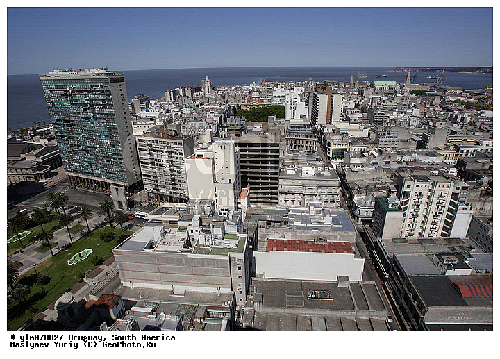 ����������, �������, ����� �������, ��� ������, �����, ���, ������, ��������