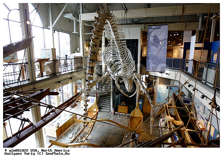 ��������� �������, ���������, ��������, �������, ���, �����, �����