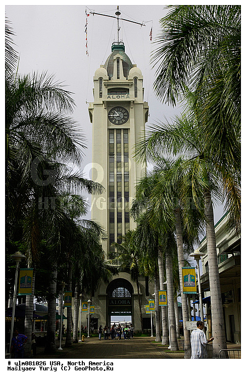 ��������� �������, ��������, ���, �����, �����, ������, ����, ������, ����