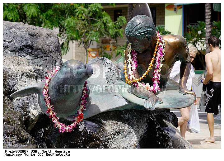 ��������� �������, ���, ������� �����, ��������, ���� �������, ���������, ������, ������