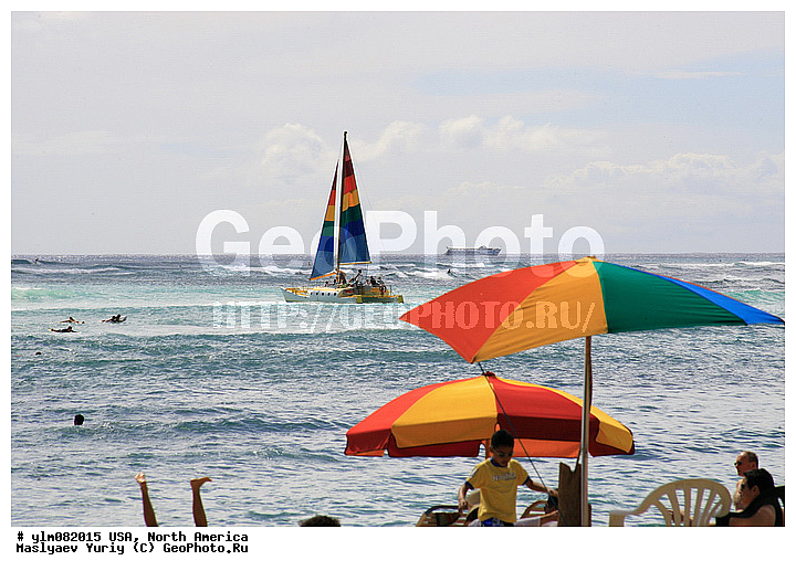 ��������� �������, ���, ����, ����, ����, ��������, ����, ���� �������