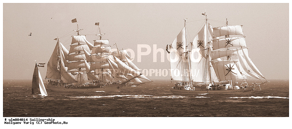 �, ������, ����, �������, �����, ��������, �������� �����, �����, �����, �, �����-�����