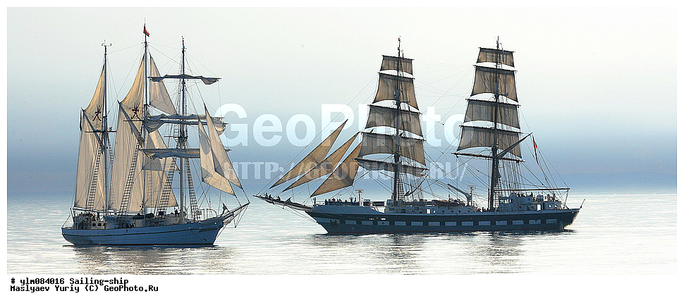 �������, �����, ��������, �������� �����, �����