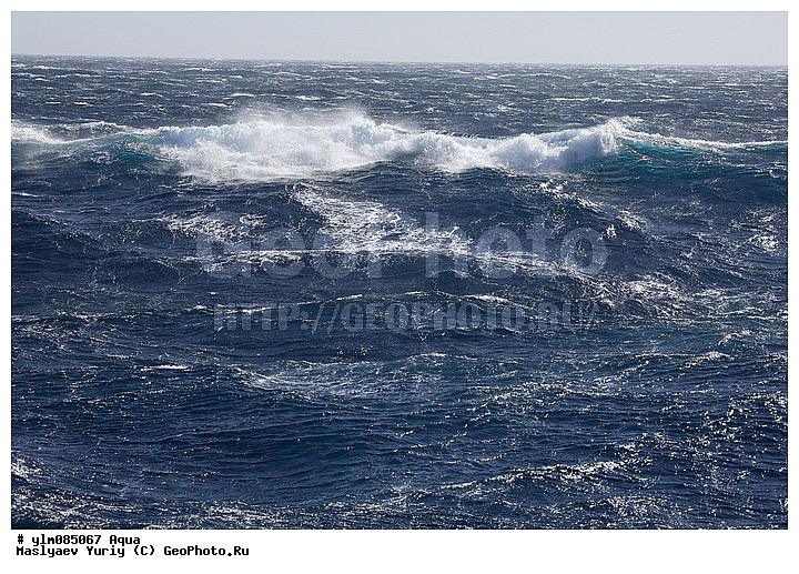 ����, �����, ����, ��������, �������, ���