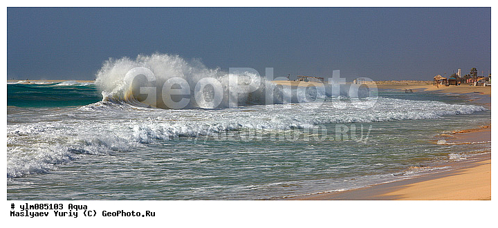 ����, �����, ����, ���������, �����