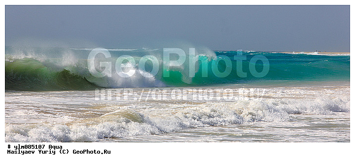 ����, �����, ����