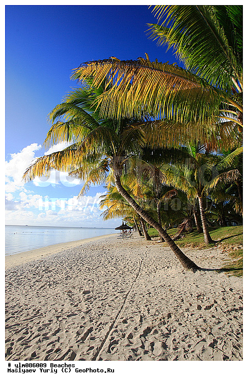 ����, ������, ����, ���������