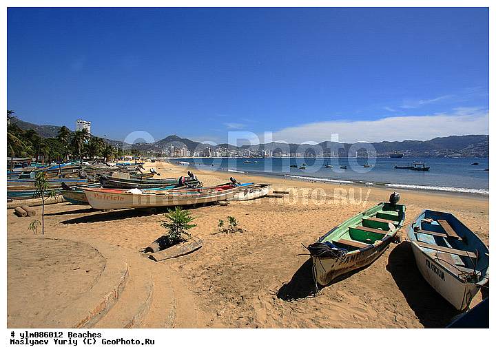 �����, �����, ����, ���������