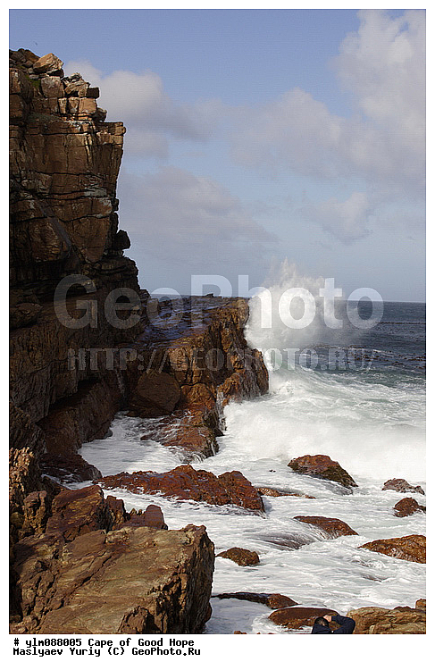 ��� ������ �������, ����� ������, �����, ����, ������, �����