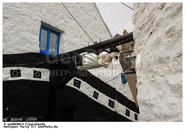 ������� ����������, ����������� ���������, �������, ��������, ����������, �����