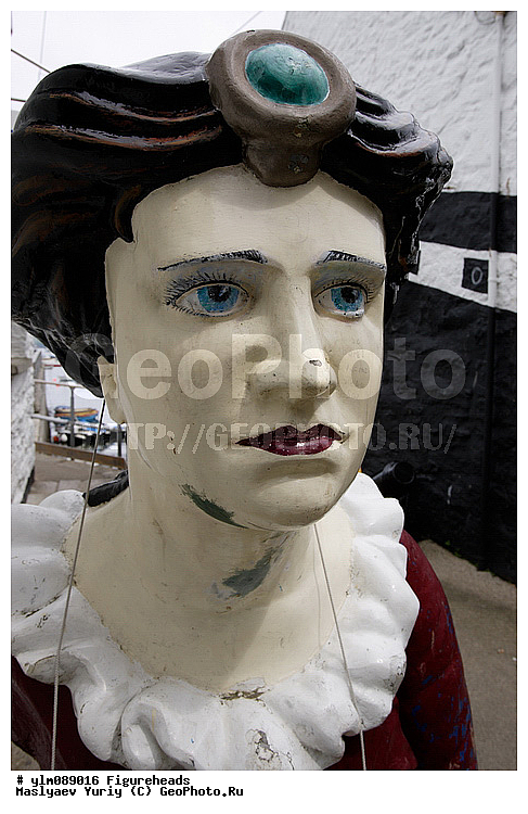 ������� ����������, ����������� ���������, �������, ����, ��������, ����������, �����