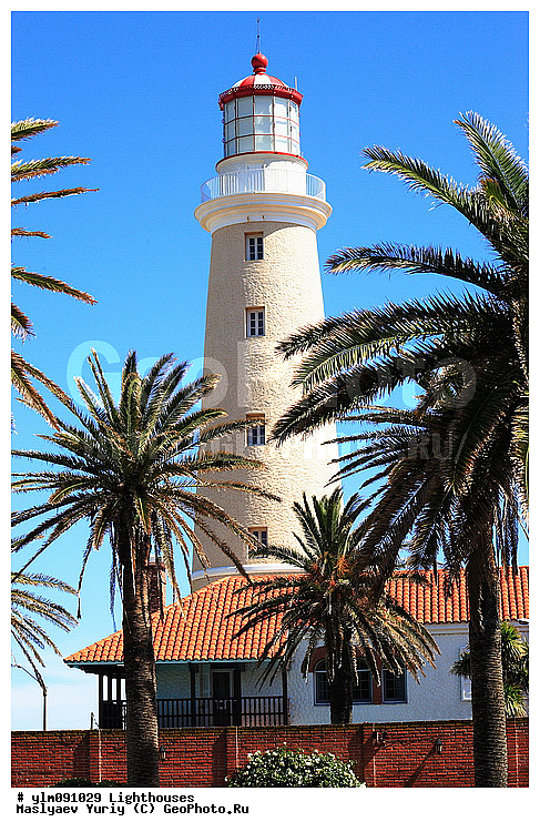 ����, ������