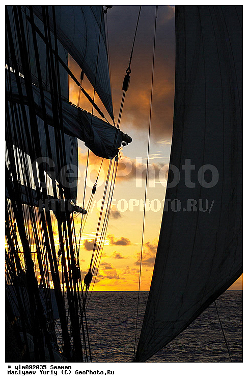 �����, �������, �����, ��������, �����