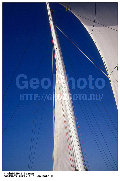 �������, �����, ��������, �����