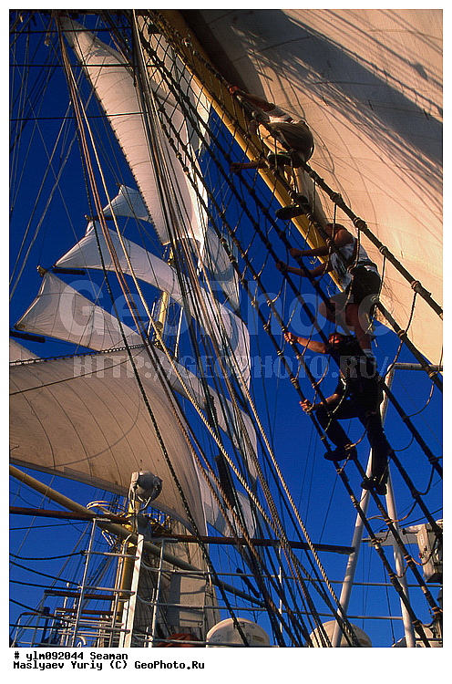 �������, �����, ��������, �����