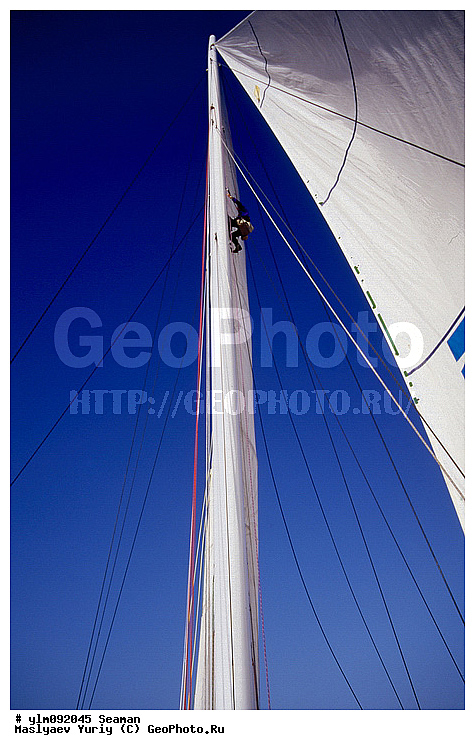 �������, �����, ��������, �����