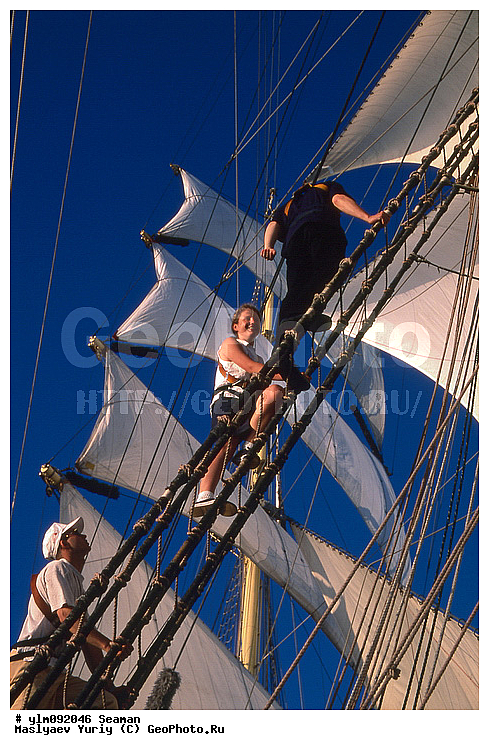 �������, �����, ��������, �����