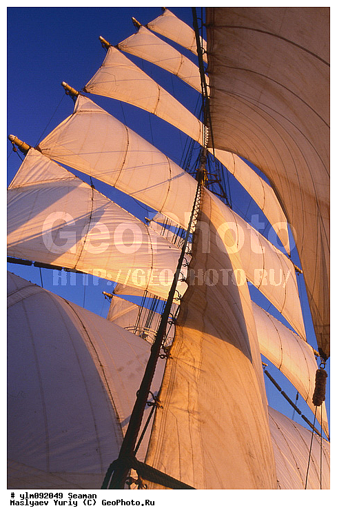 �������, �����, ��������, �����