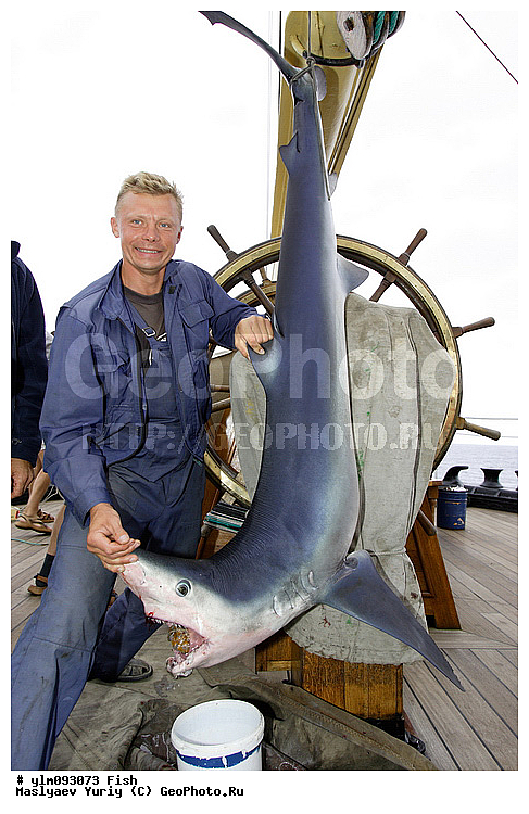 ����, �����, �������, ����, �������