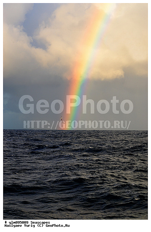 ����, ������� ������, ������