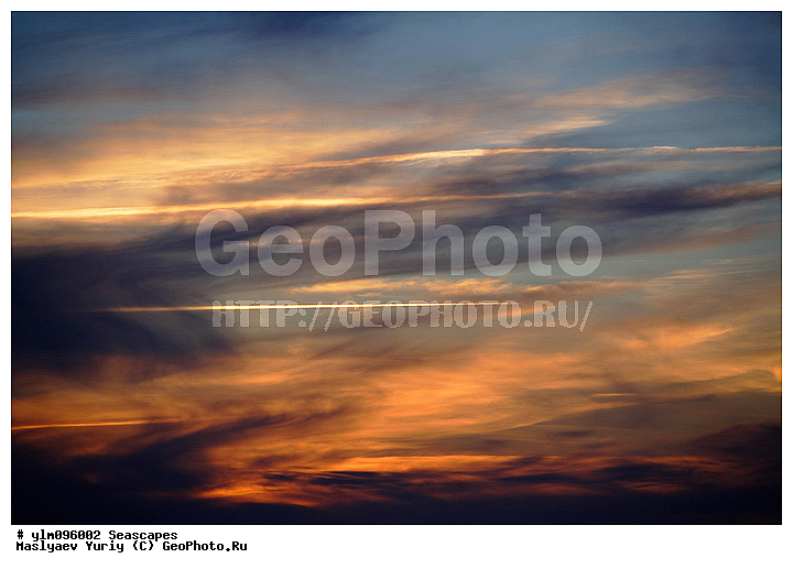 �����, ����